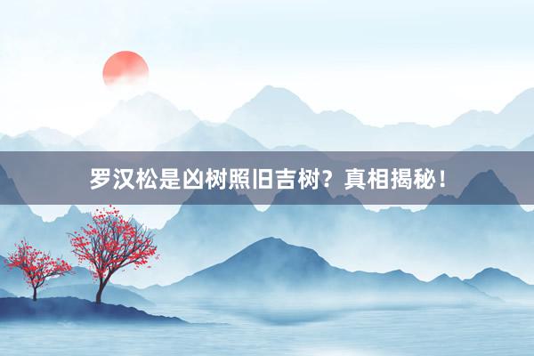 罗汉松是凶树照旧吉树?真相揭秘!